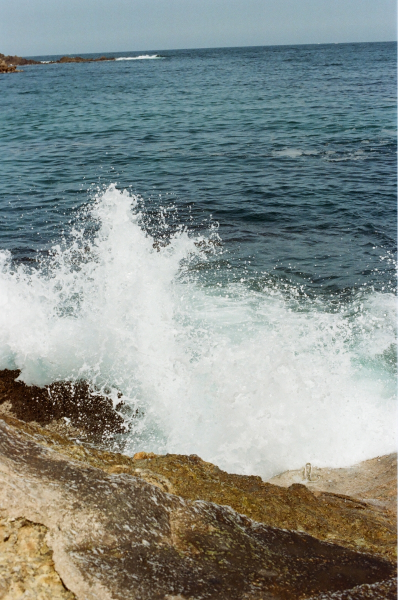 写真11